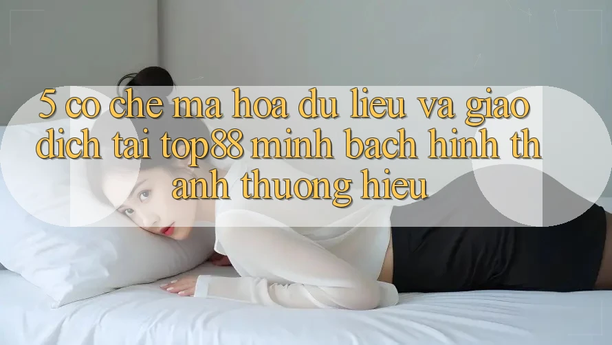 5. Cơ Chế Mã hóa dữ liệu Và Giao Dịch Tại Top88 - Minh bạch Hình thành Thương Hiệu 5. Cơ Chế Mã hóa dữ liệu Và Giao Dịch Tại Top88 - Minh bạch Hình thành Thương Hiệu