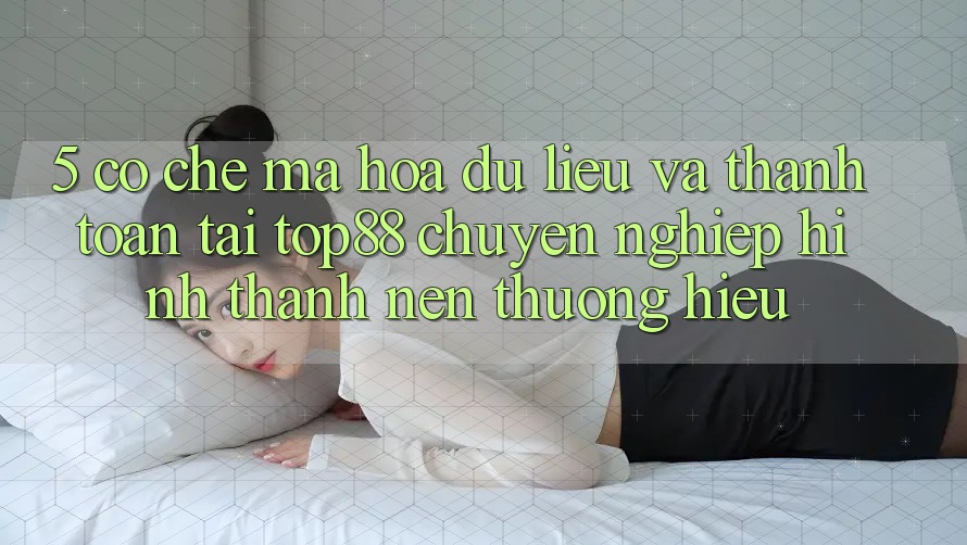 5. Cơ Chế Mã hóa dữ liệu Và Thanh toán Tại Top88 - Chuyên nghiệp Hình thành Nên Thương Hiệu