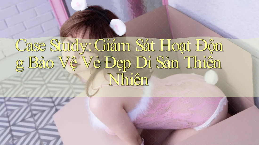 Case Study: Giám Sát Hoạt Động Bảo Vệ Vẻ Đẹp Di Sản Thiên Nhiên