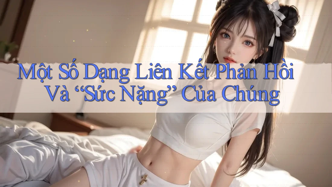 Một Số Dạng Liên Kết Phản Hồi Và “Sức Nặng” Của Chúng Một Số Dạng Liên Kết Phản Hồi Và “Sức Nặng” Của Chúng