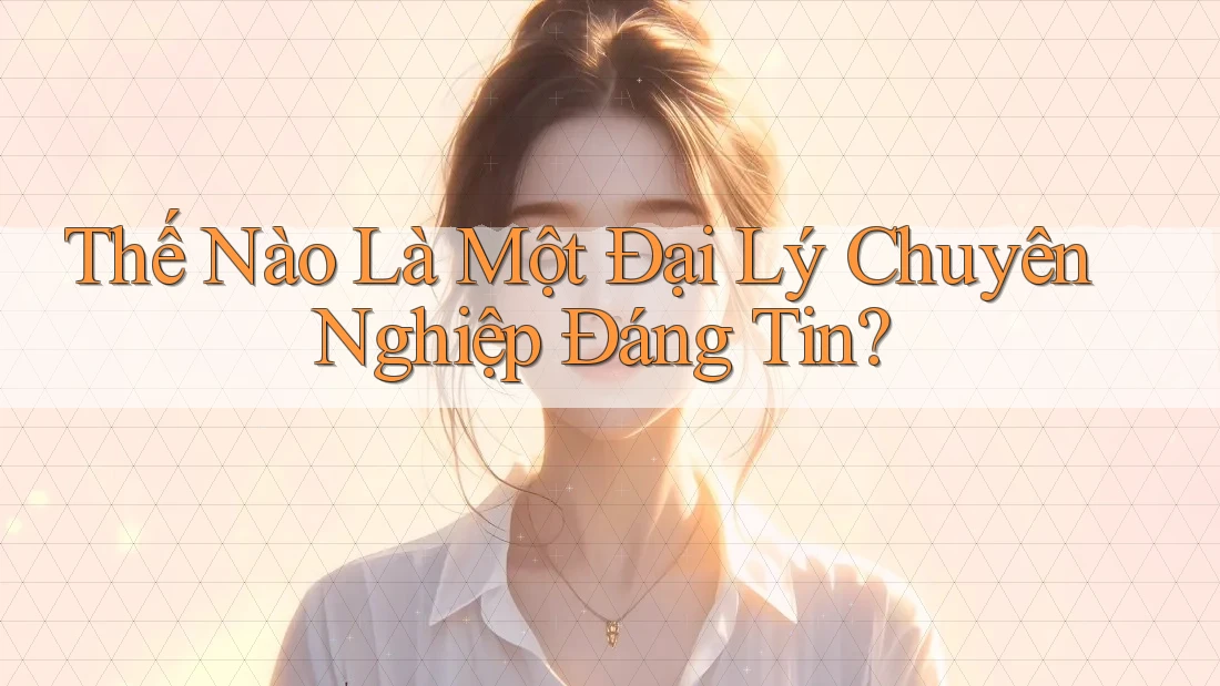 Thế Nào Là Một Đại Lý Chuyên Nghiệp Đáng Tin? Thế Nào Là Một Đại Lý Chuyên Nghiệp Đáng Tin?